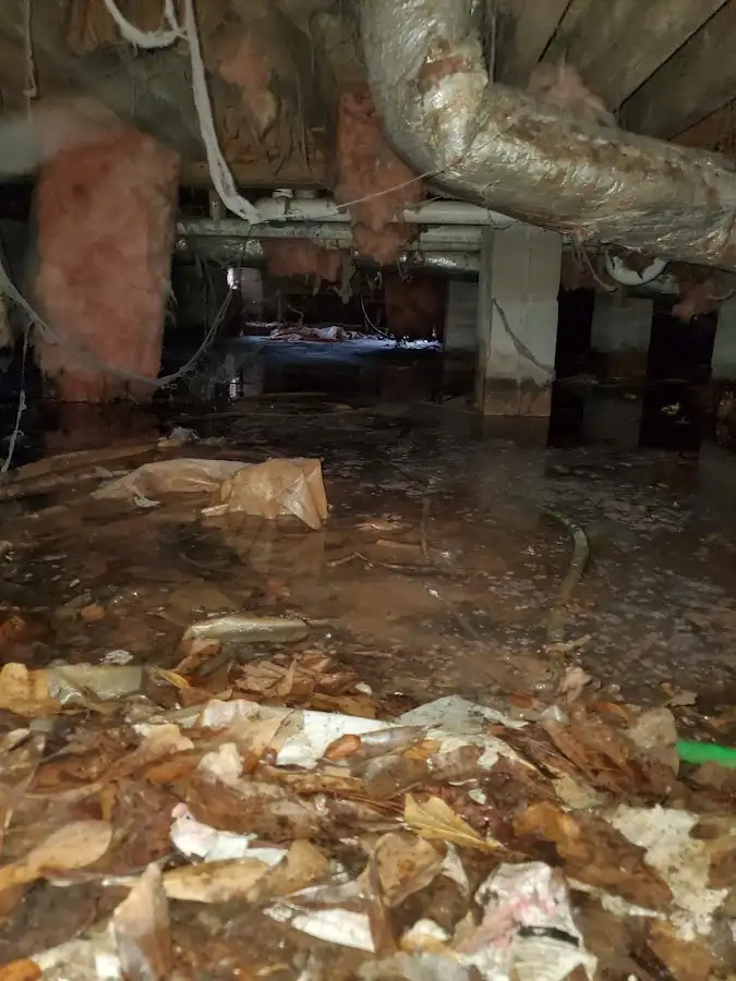 Crawl space flood assessment for Leak Detection & Repair in Benbrook